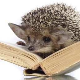 Materiały do szkolenia - bum bum rurki cz 2